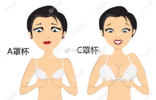240cc假体是什么罩杯?会很大吗?  