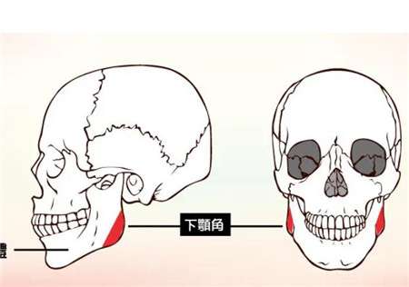 面部整形手术的方法有哪些?